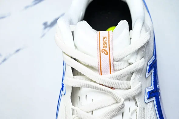 Asics Novablast 5 1012B909-100 