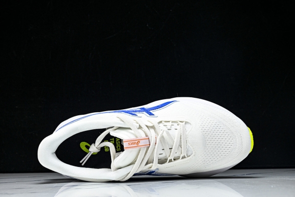 Asics Novablast 5 1012B909-100 