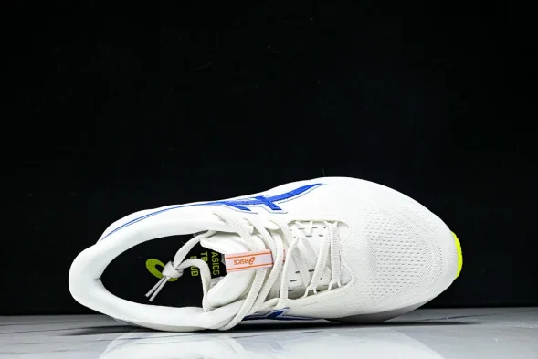 Asics Novablast 5 1012B909-100 