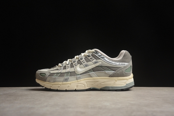 Nike P-6000 FN7509-029  