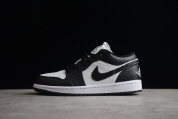 Nike Air Jordan 1 low DR0502-101