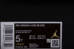 Nike Air Jordan 1 low DJ0341-100