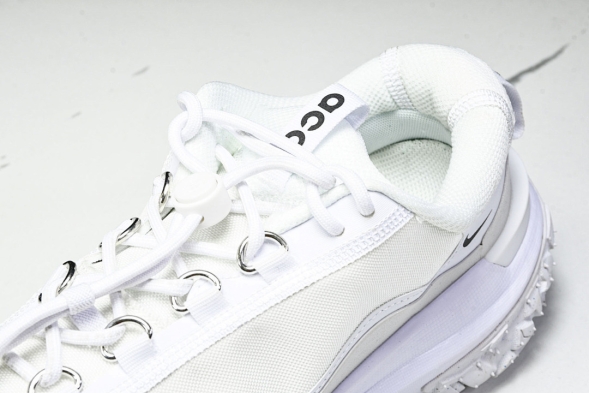 Nike ACG Mountain Fly 2 Low SP FZ3311 100 