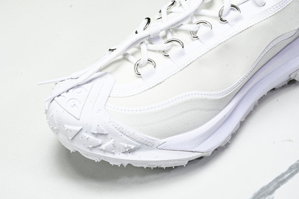 Nike ACG Mountain Fly 2 Low SP FZ3311 100 