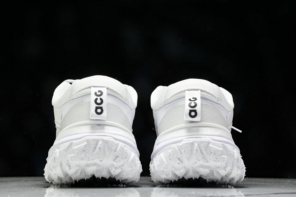 Nike ACG Mountain Fly 2 Low SP FZ3311 100 