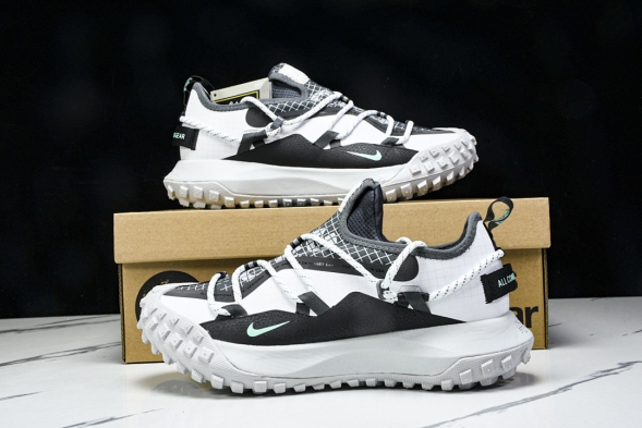 Nike ACG Mountain Fly Low GTX SE D09334 100 