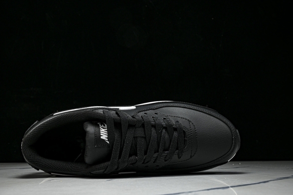 Nike Air Max 90 CD6864-029 