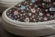 Vans Acer Mesh Ni SP VN0A4UWYNWH 